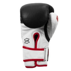 TITLE Boxing Gel World Bag Gloves 24 TITLE Boxing Gel World Bag Gloves -Sports Boxing gtwbg bk wh 0004