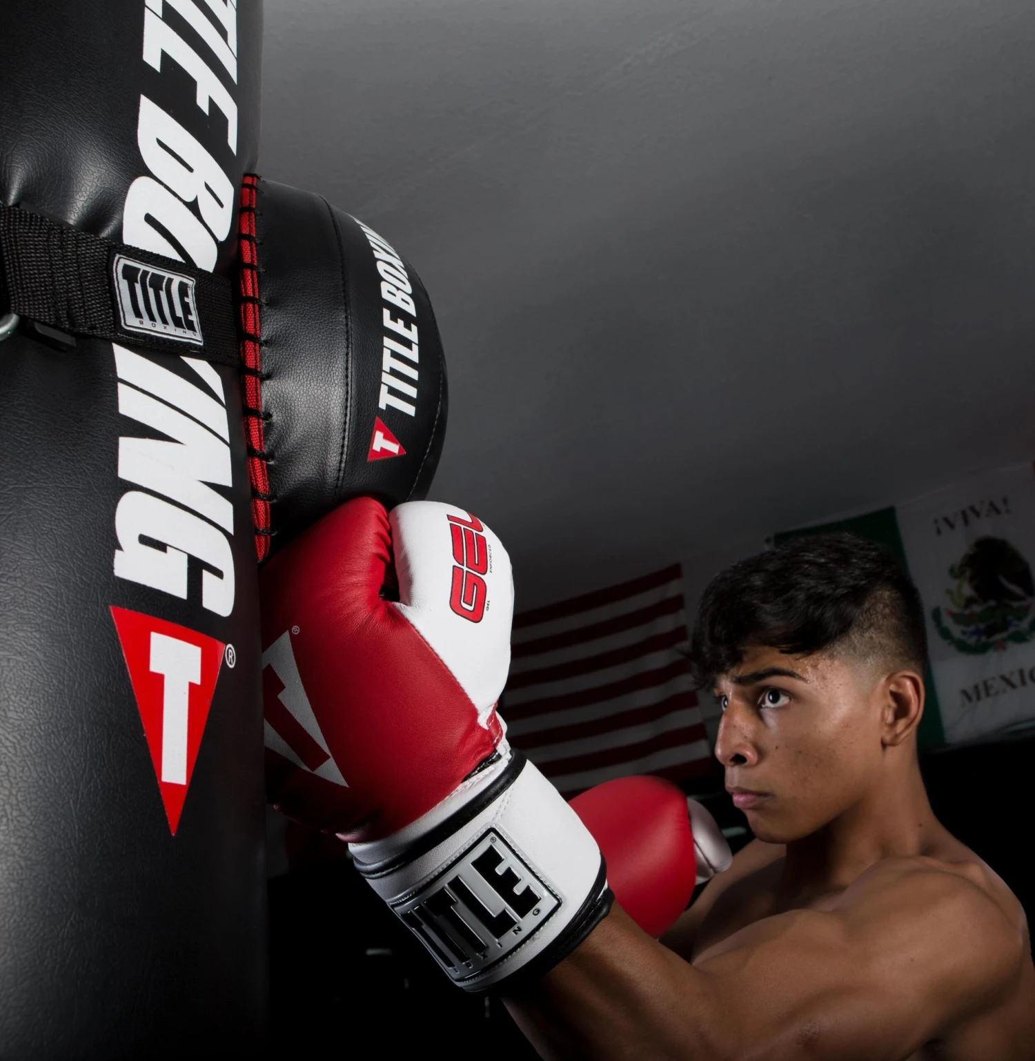 TITLE Boxing Heavy Bag Strike Foe 2 TITLE Boxing Heavy Bag Strike Foe - Image 2