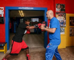 TITLE Boxing Memory Foam Punch Shield -Sports Boxing mfmps 03 1