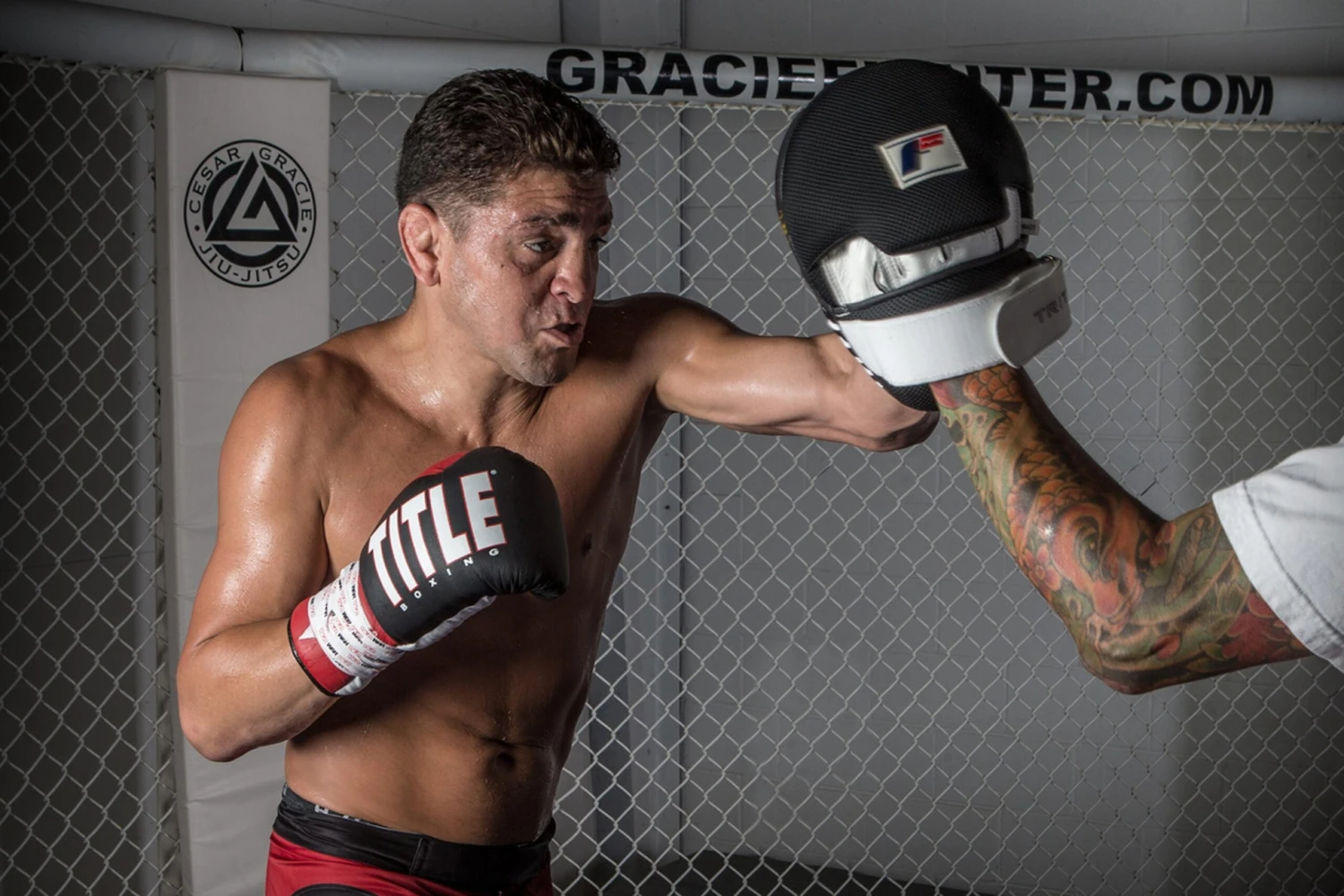 Fighting Tri-Tech Curved Mitts 2 Fighting Tri-Tech Curved Mitts - Image 2