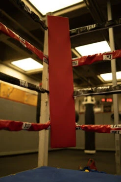 TITLE Boxing Blank Pro Corner Cushion V3.0 - Single 17 TITLE Boxing Blank Pro Corner Cushion V3.0 - Single -Sports Boxing osccb blank red 3