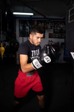 Pro Mex Professional Bag Gloves V3.0 26 Pro Mex Professional Bag Gloves V3.0 -Sports Boxing pmhbg3 bk 2