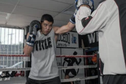 TITLE Platinum Perilous Boxing Training Gloves -Sports Boxing ppstge 1