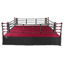 TITLE Boxing Professional Training Ring
