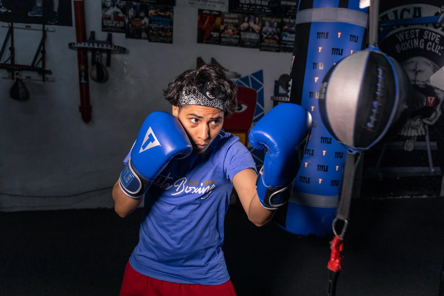 TITLE Boxing Royalty Leather Bag Gloves 2 TITLE Boxing Royalty Leather Bag Gloves - Image 2