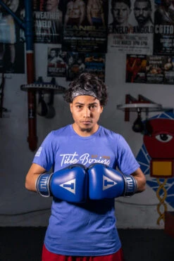 TITLE Boxing Royalty Leather Bag Gloves 15 TITLE Boxing Royalty Leather Bag Gloves -Sports Boxing rybg 3