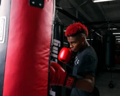 TITLE Boxing Synthetic Leather Heavy Bag (Unfilled) 17 TITLE Boxing Synthetic Leather Heavy Bag (Unfilled) -Sports Boxing uftshb bk rd 2