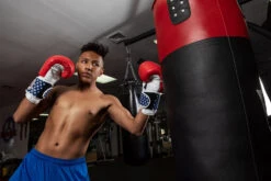 TITLE Boxing USA Leather Bag Gloves -Sports Boxing usabg replace the current