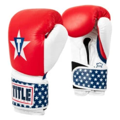 TITLE Boxing USA Leather Bag Gloves -Sports Boxing usabg 02