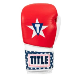 TITLE Boxing USA Leather Bag Gloves -Sports Boxing usabg 03