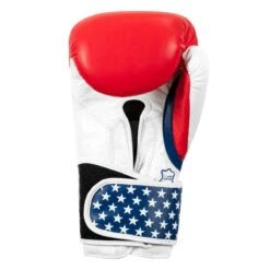 TITLE Boxing USA Leather Bag Gloves -Sports Boxing usabg 04