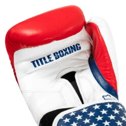 TITLE Boxing USA Leather Bag Gloves -Sports Boxing usabg 05