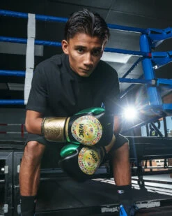 WBC By TITLE Boxing Green Belt Training Gloves 1.0 -Sports Boxing wgbtg bk 2 1