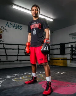 TITLE Boxing Pro Style Heavy Bag Gloves -Sports Boxing xtsg bk rd 2