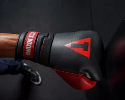 TITLE Boxing Z-FLY Bag Gloves 22 TITLE Boxing Z-FLY Bag Gloves -Sports Boxing zflybg bk rd 6 1